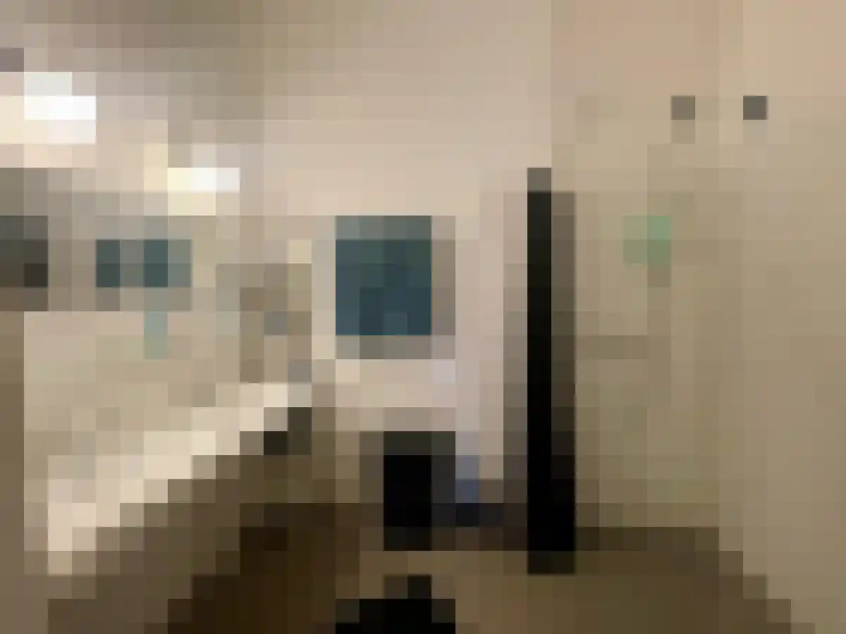Schoutenhoek 46 Zoetermeer thumbnail 6
