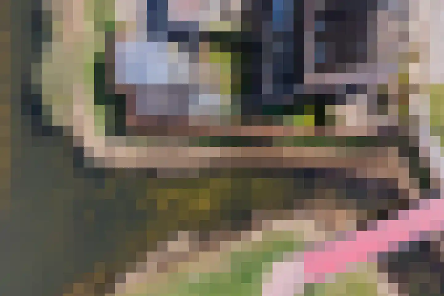 Schoutenhof 1 Hardenberg thumbnail 10