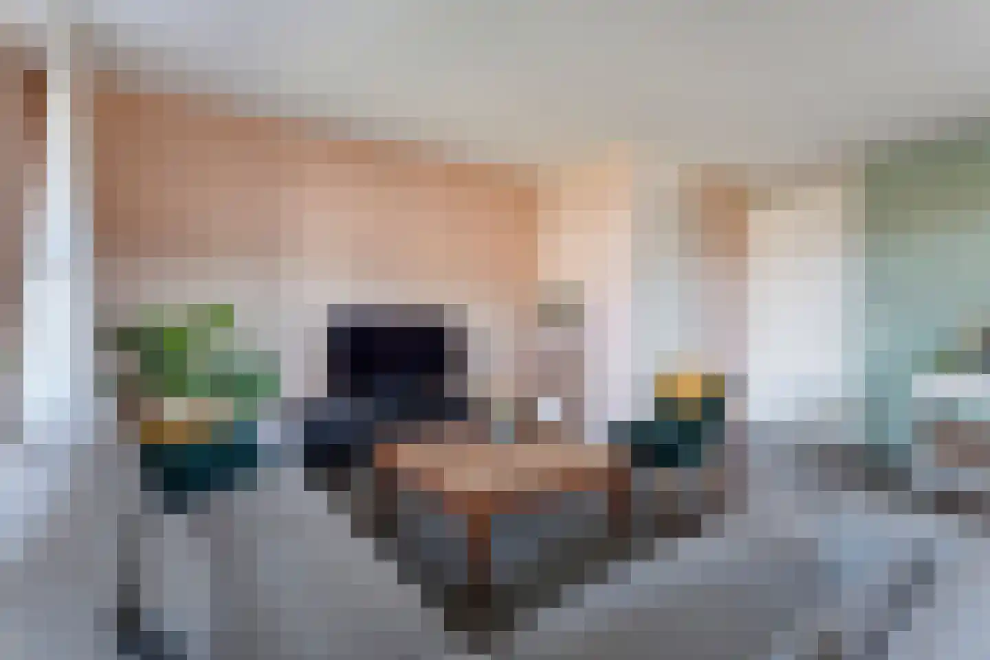 Schoutenhof 1 Hardenberg thumbnail 21