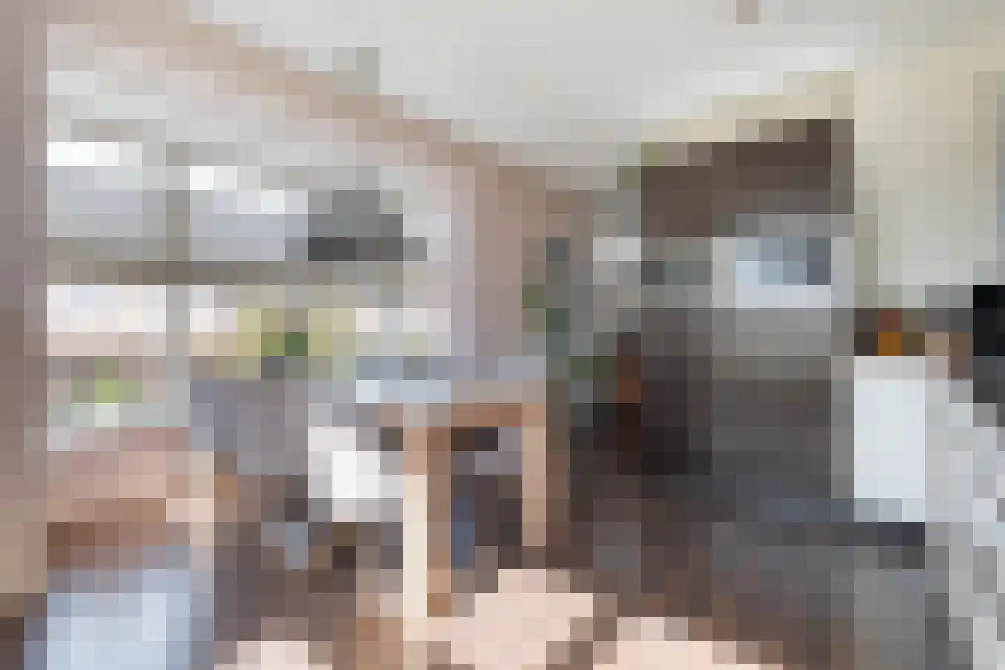 Schoutenhof 1 Hardenberg thumbnail 27