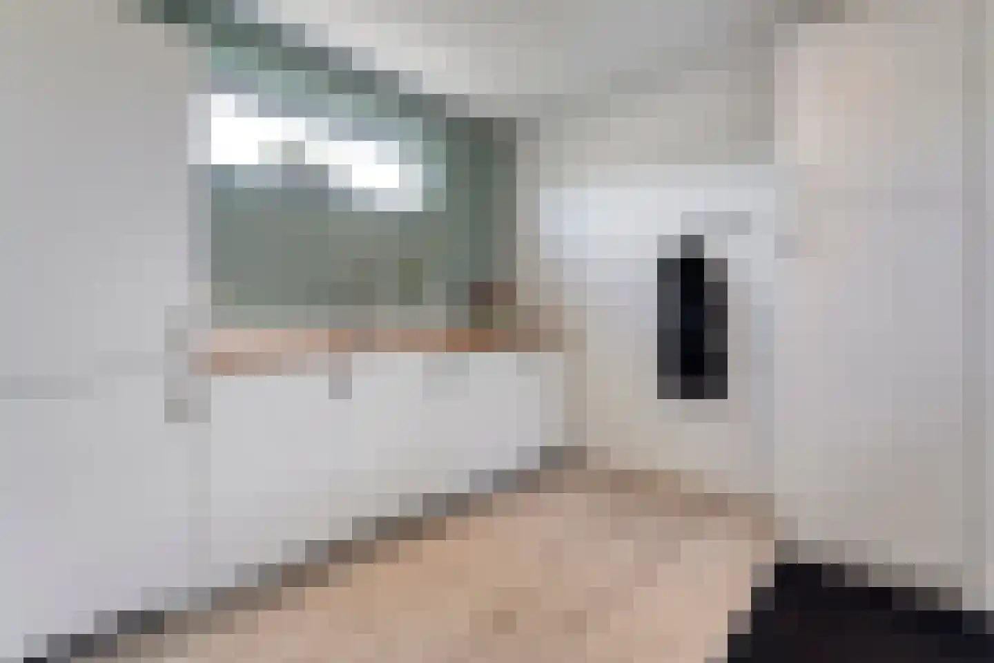 Schoutenhof 1 Hardenberg thumbnail 31