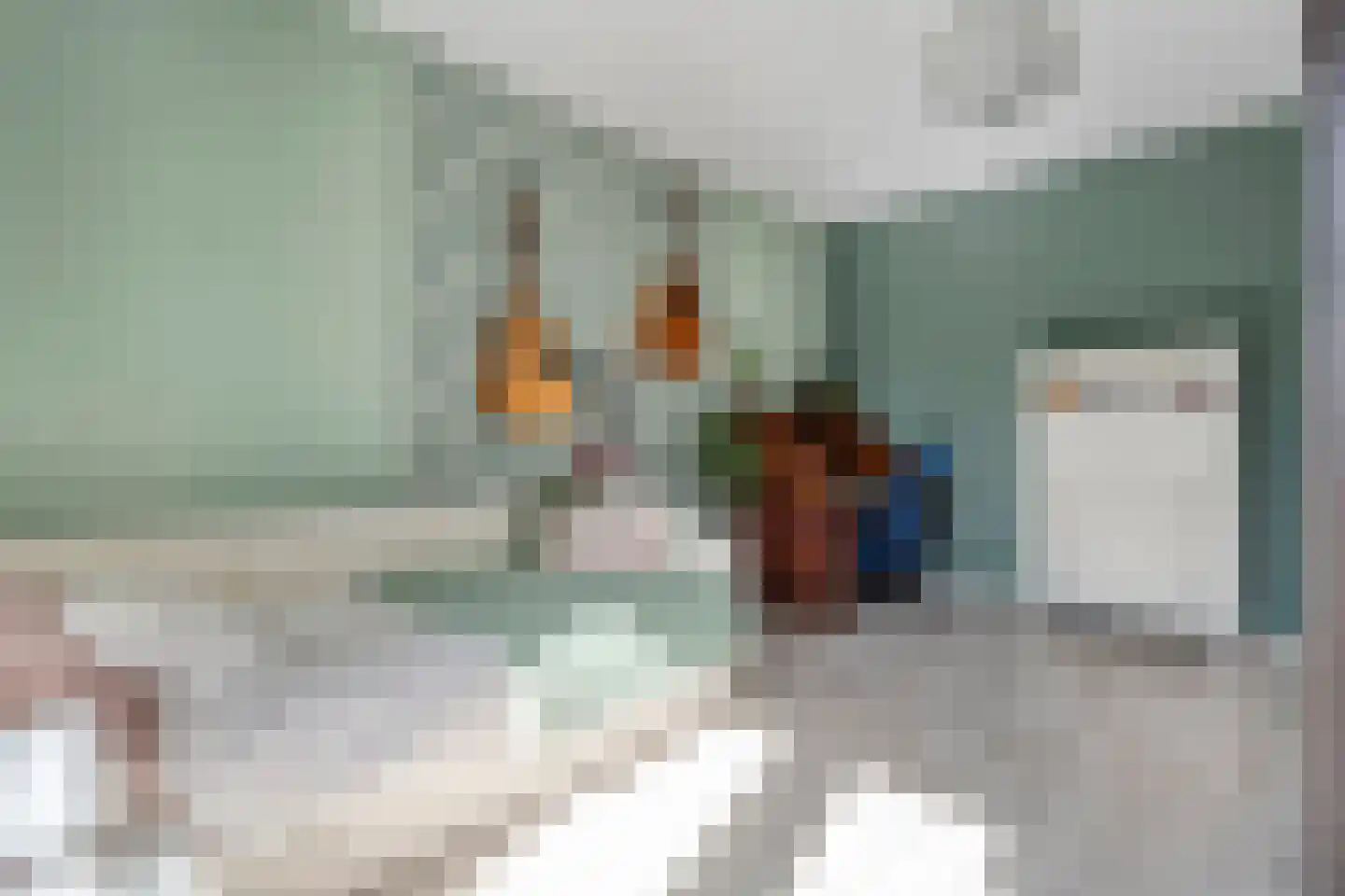 Schoutenhof 1 Hardenberg thumbnail 37