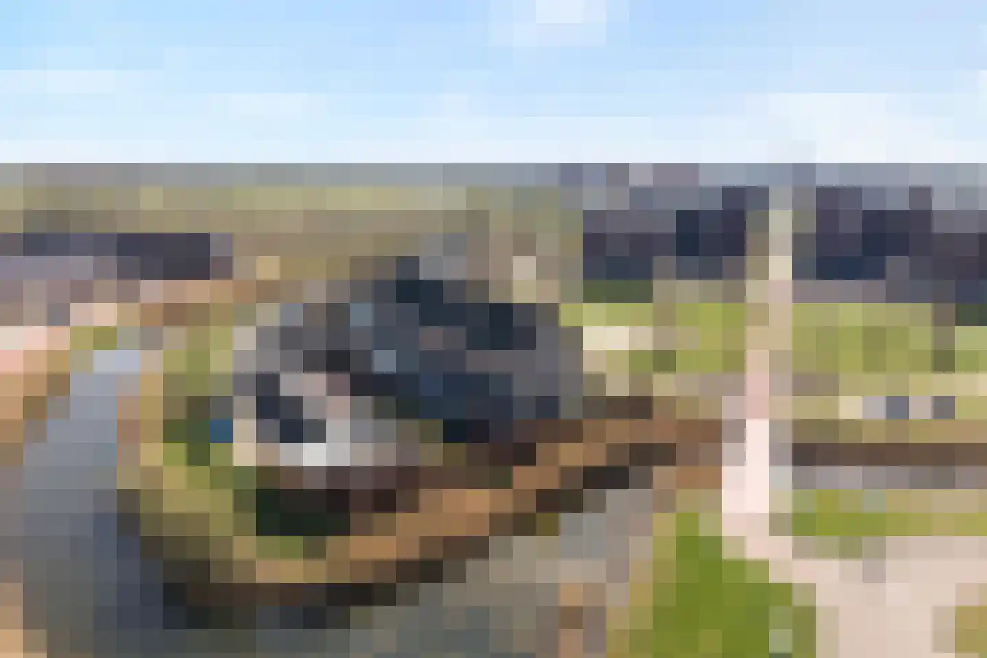 Schoutenhof 1 Hardenberg thumbnail 5