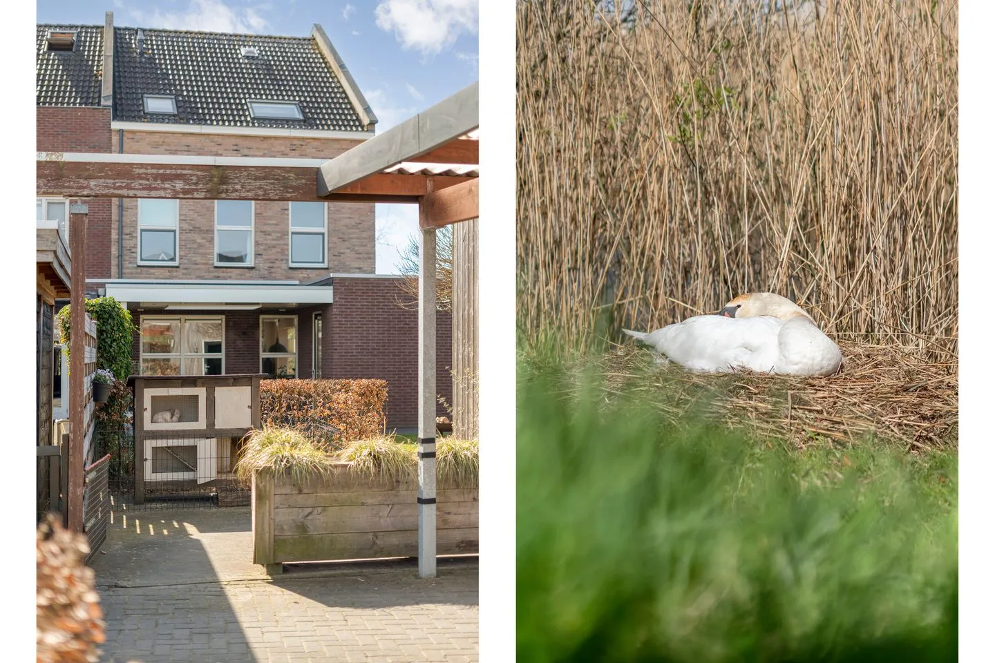 Schoutenhof 1 Hardenberg thumbnail 72