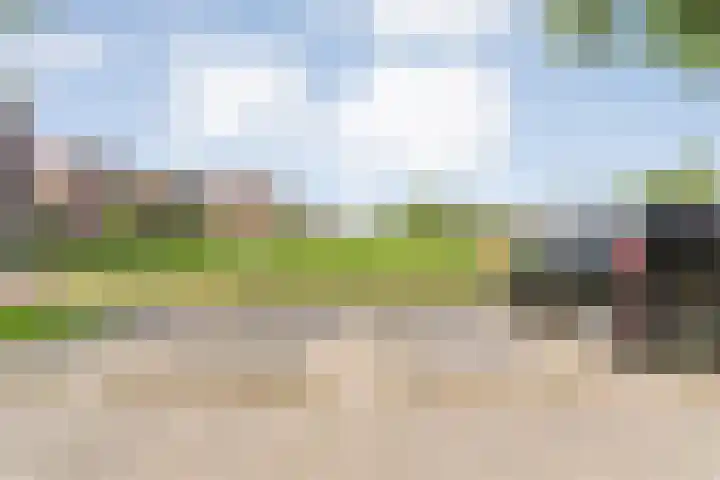Schoutenhof 21 Hardenberg thumbnail 10