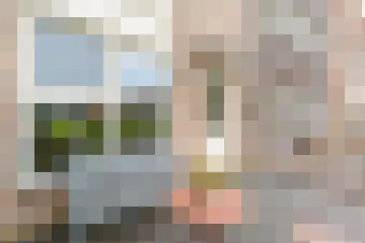 Schoutenhof 21 Hardenberg thumbnail 11