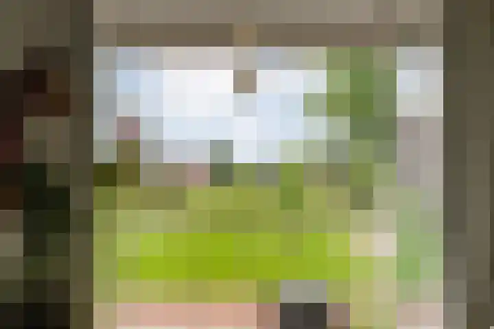 Schoutenhof 21 Hardenberg thumbnail 26