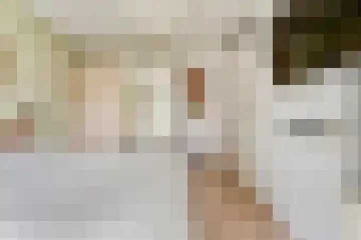 Schoutenhof 21 Hardenberg thumbnail 27