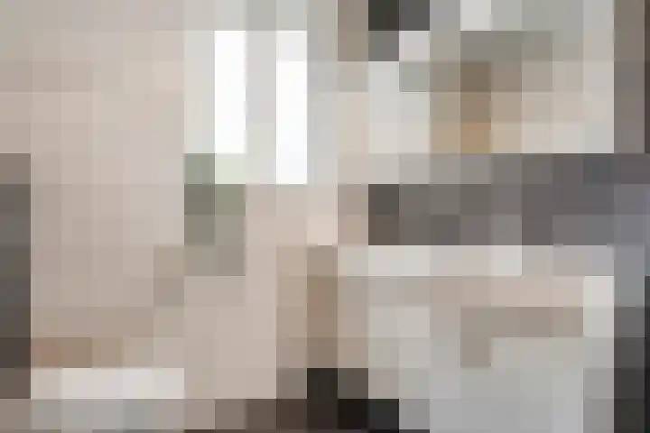 Schoutenhof 21 Hardenberg thumbnail 34