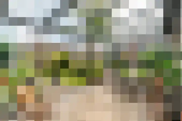 Schoutenhof 21 Hardenberg thumbnail 47