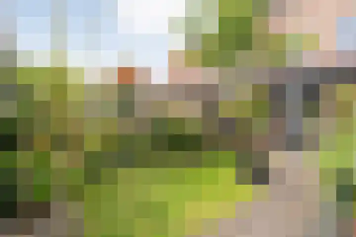Schoutenhof 21 Hardenberg thumbnail 51
