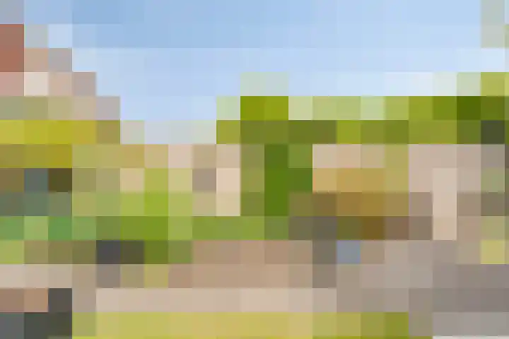Schoutenhof 21 Hardenberg thumbnail 54
