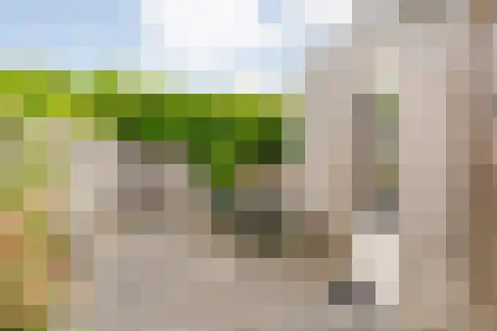 Schoutenhof 21 Hardenberg thumbnail 55