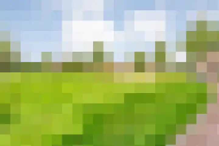 Schoutenhof 21 Hardenberg thumbnail 6