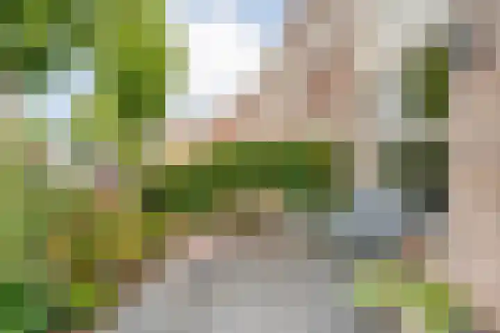 Schoutenhof 21 Hardenberg thumbnail 9