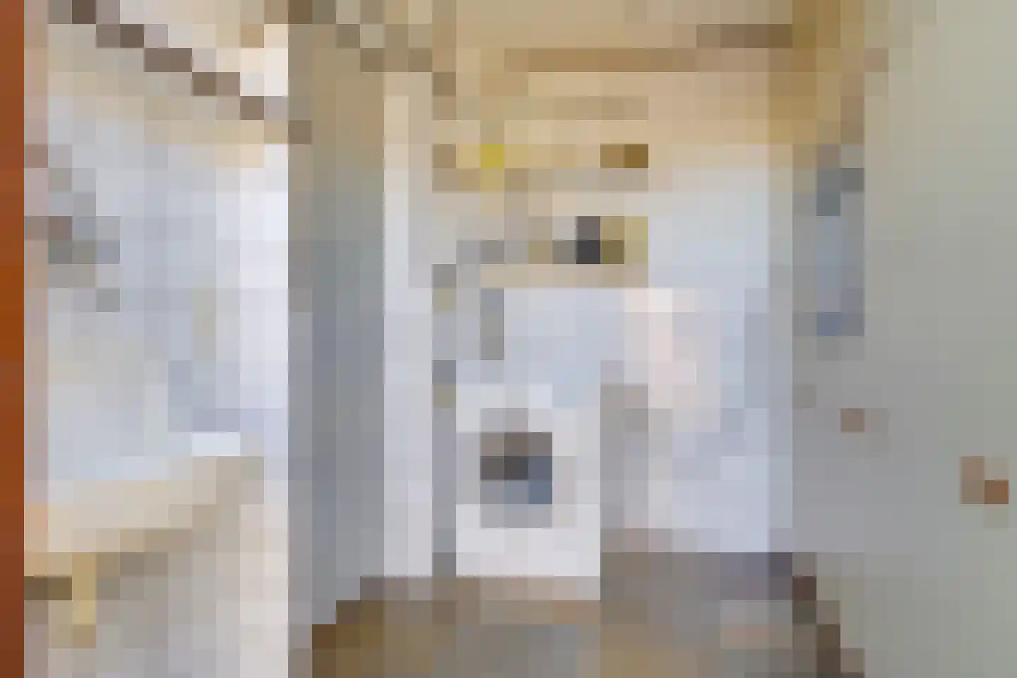 Schoutenkamp 21 Heteren thumbnail 28