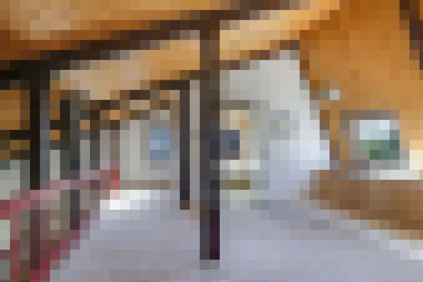 Schoutenkamp 21 Heteren thumbnail 41
