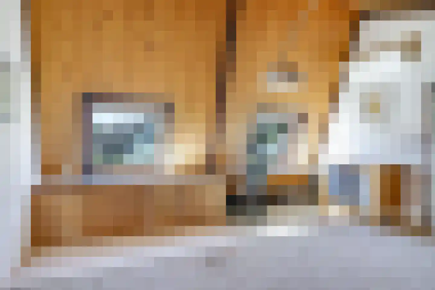 Schoutenkamp 21 Heteren thumbnail 42