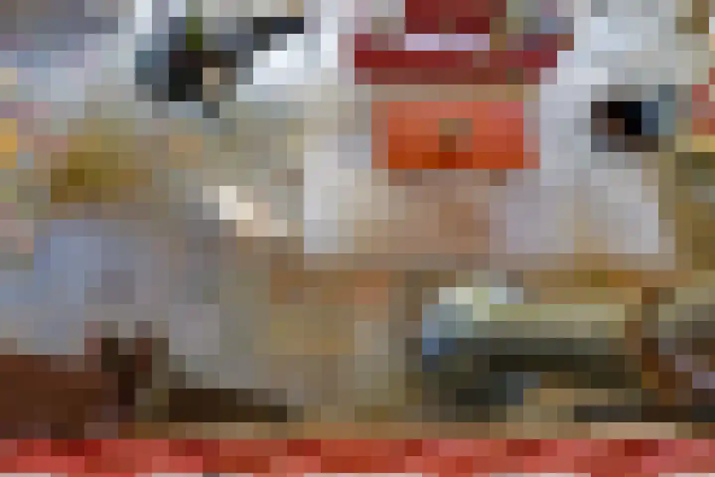 Schoutenkamp 21 Heteren thumbnail 44