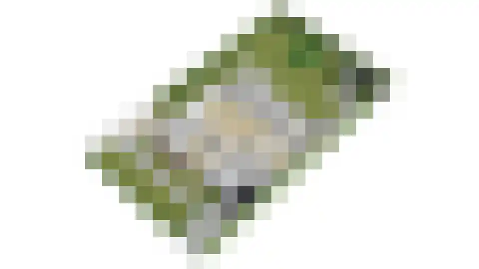 Schoutenkamp 21 Heteren thumbnail 56