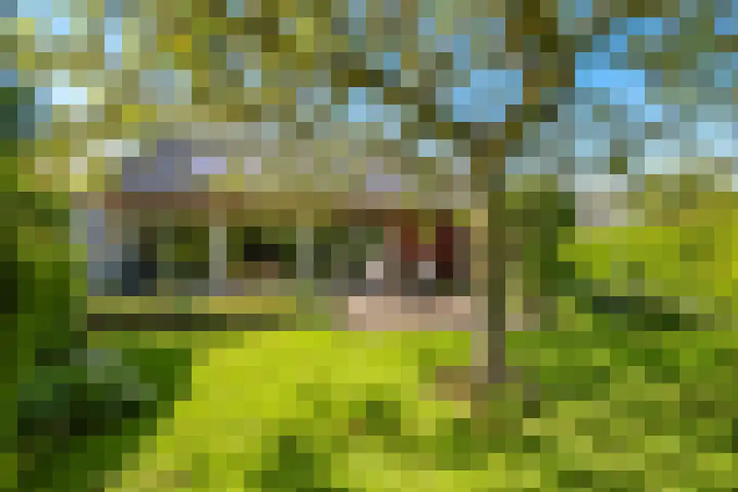 Schoutenkamp 21 Heteren thumbnail 57