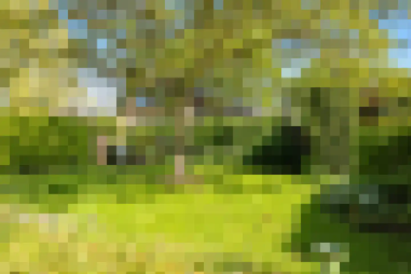 Schoutenkamp 21 Heteren thumbnail 58