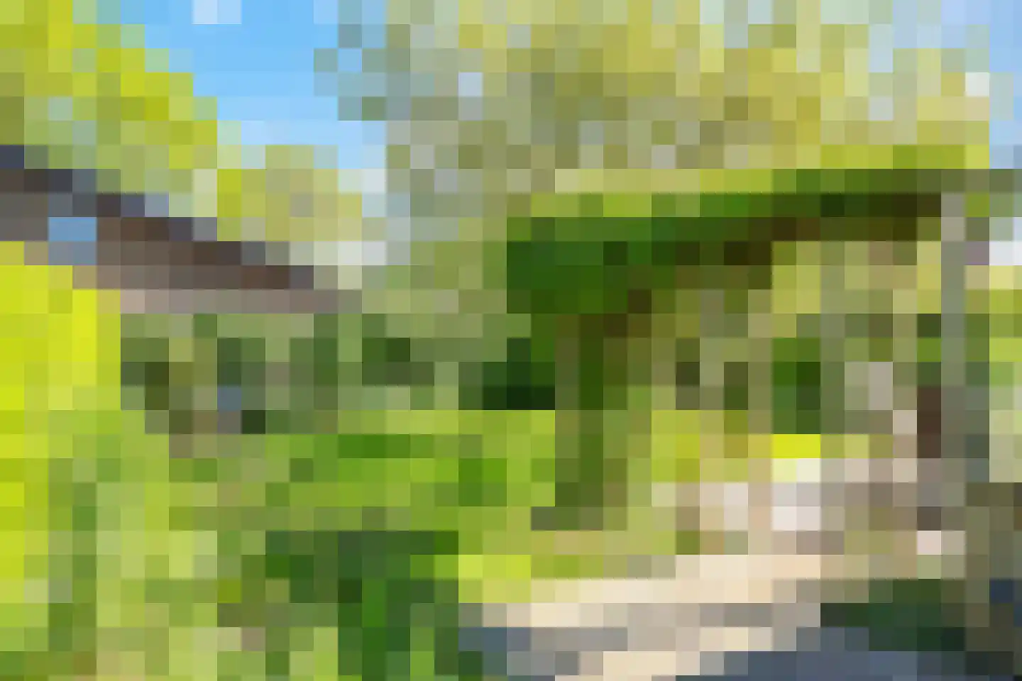Schoutenkamp 21 Heteren thumbnail 62