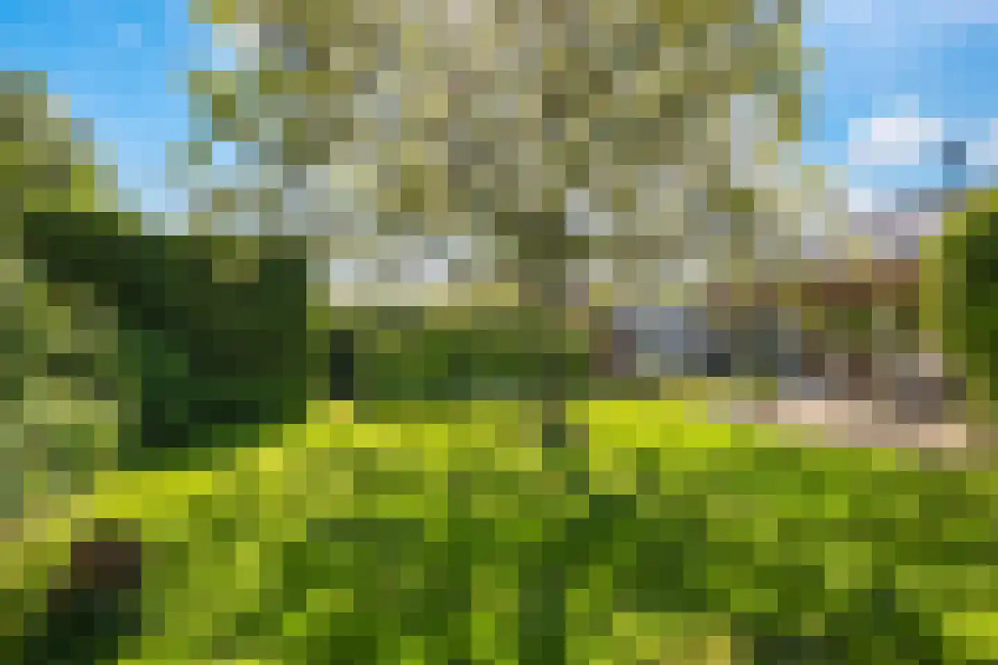 Schoutenkamp 21 Heteren thumbnail 63