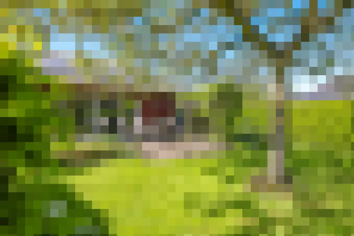 Schoutenkamp 21 Heteren thumbnail 65
