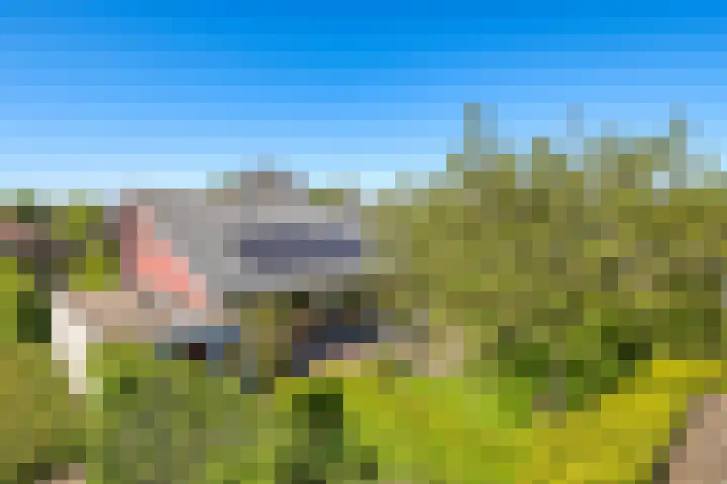 Schoutenkamp 21 Heteren thumbnail 67