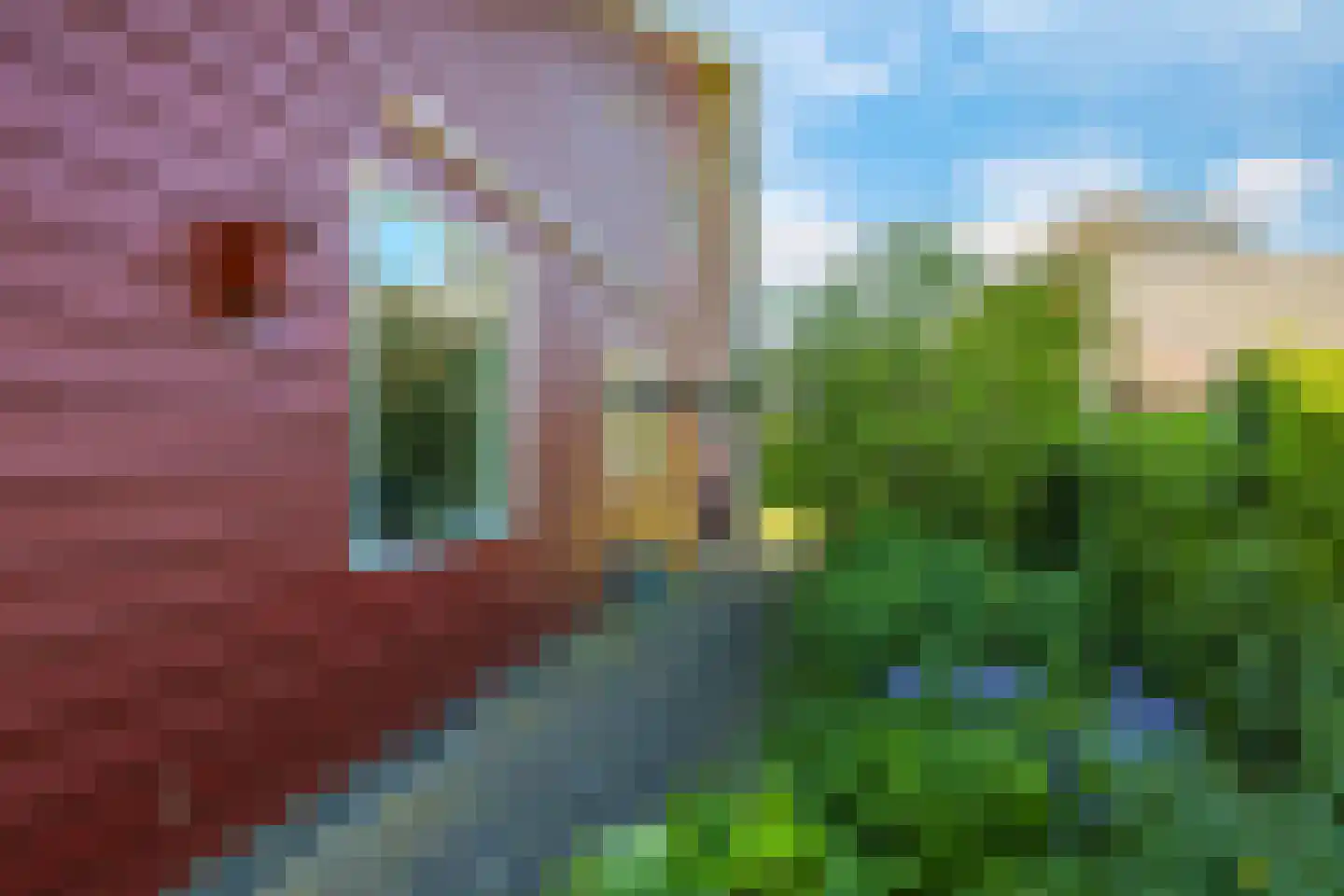 Schoutenkamp 21 Heteren thumbnail 70