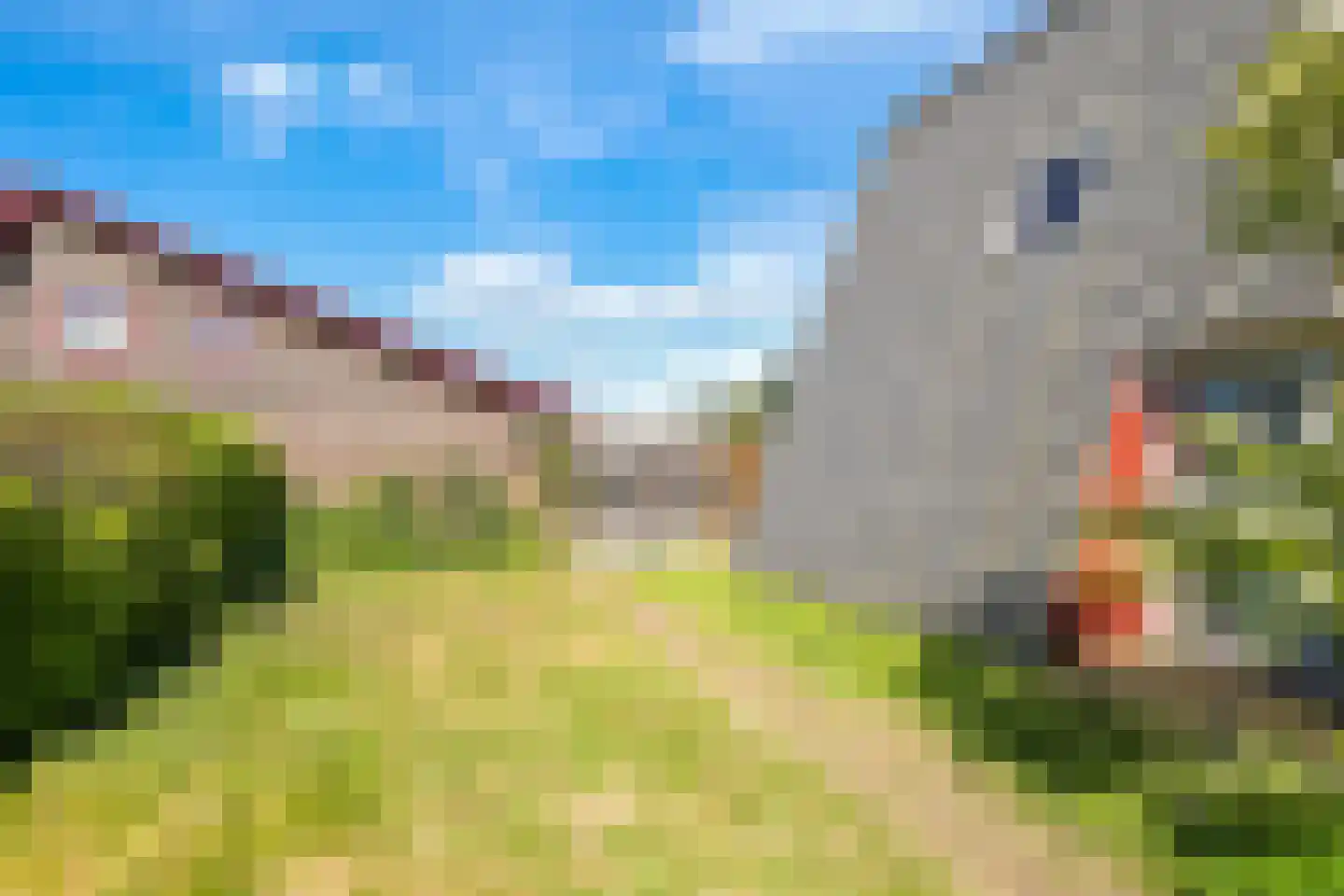 Schoutenkamp 21 Heteren thumbnail 73