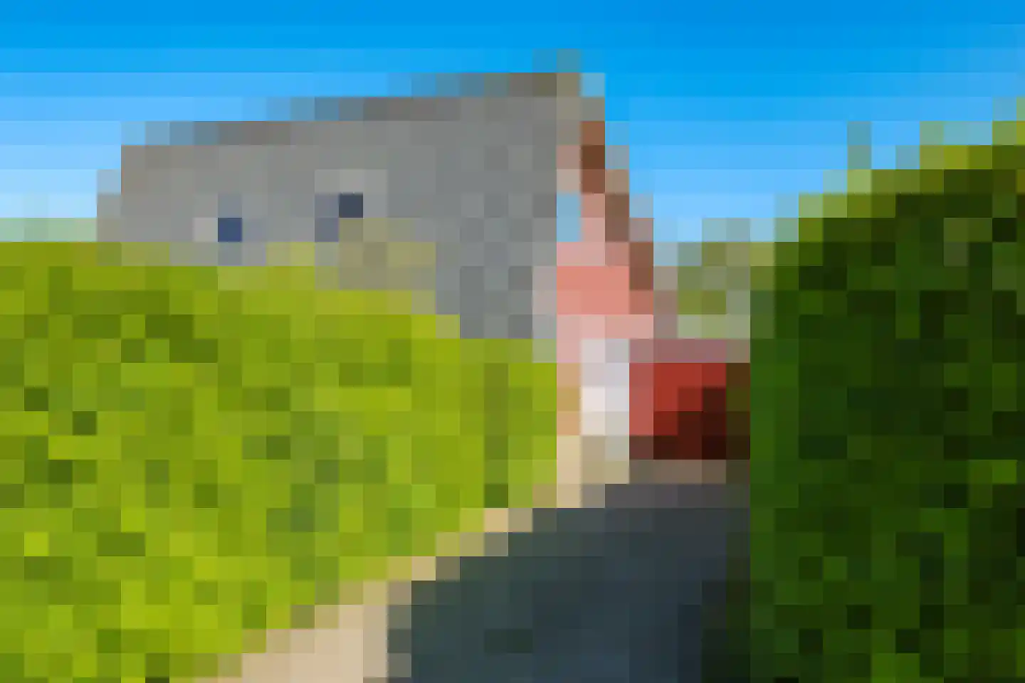 Schoutenkamp 21 Heteren thumbnail 74