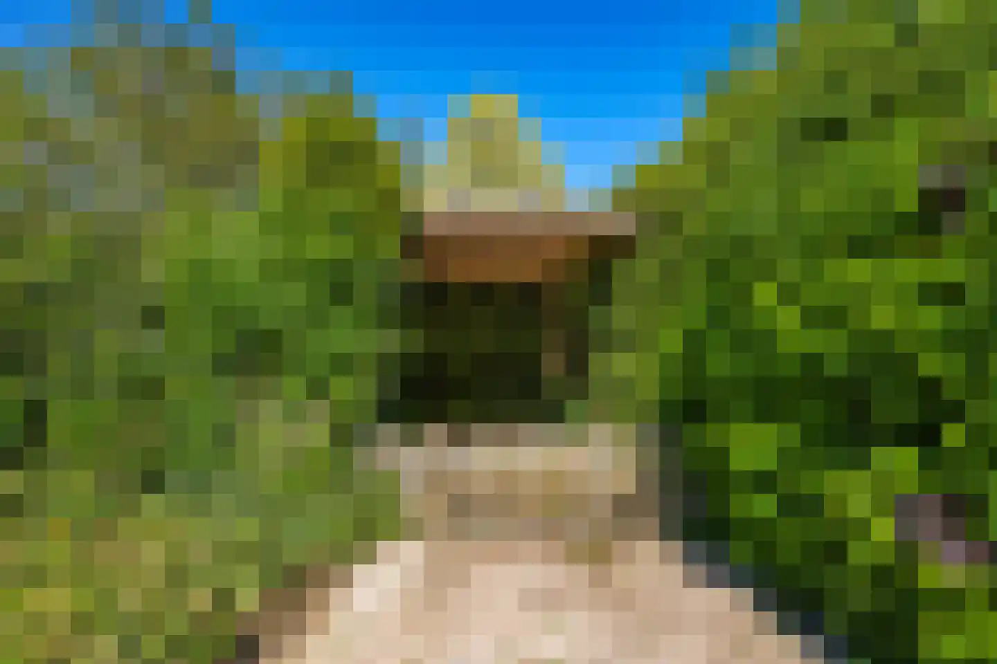 Schoutenkamp 21 Heteren thumbnail 76