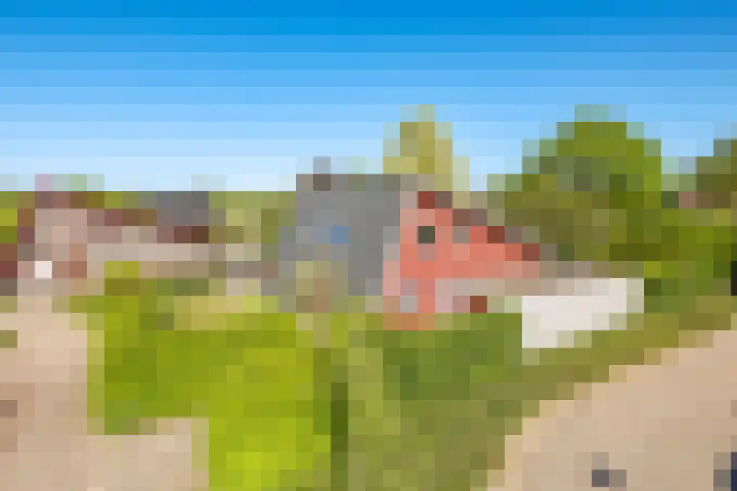 Schoutenkamp 21 Heteren thumbnail 78