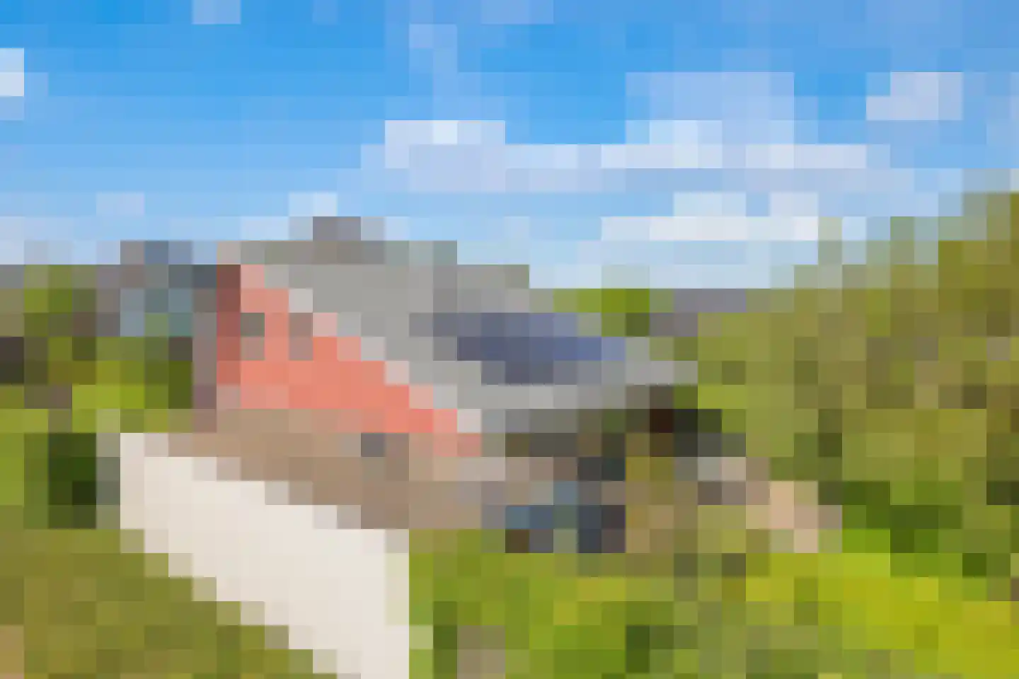 Schoutenkamp 21 Heteren thumbnail 80