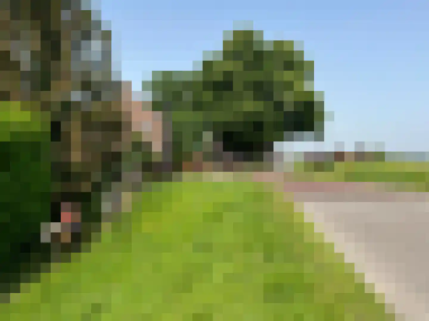 Schoutenkamp 21 Heteren thumbnail 86