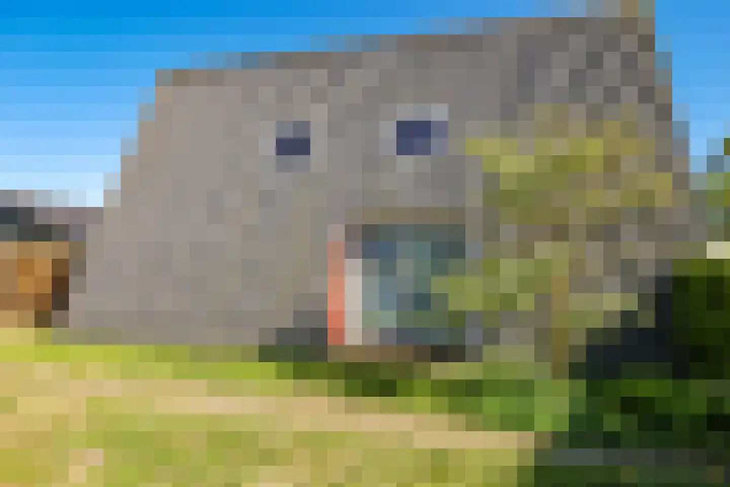 Schoutenkamp 21 Heteren thumbnail 9