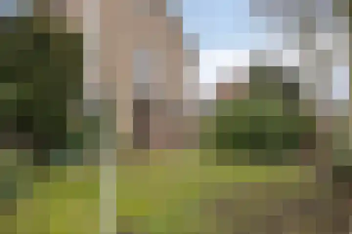 Schoutenkampweg 76 Soest thumbnail 40