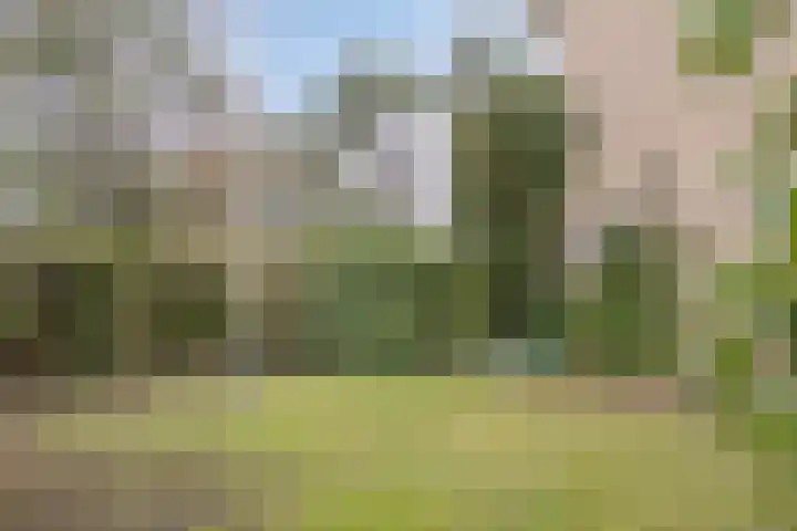 Schoutenkampweg 76 Soest thumbnail 41