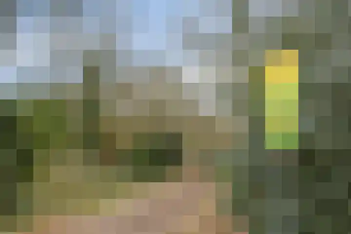 Schoutenkampweg 76 Soest thumbnail 43
