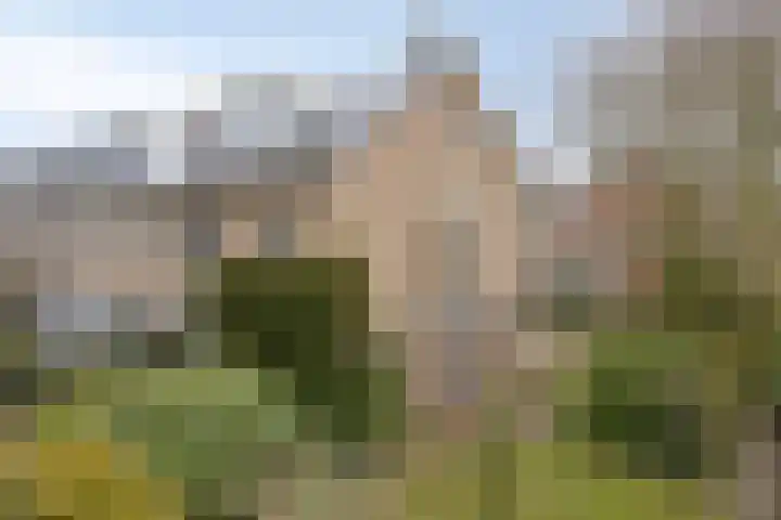 Schoutenkampweg 76 Soest thumbnail 48