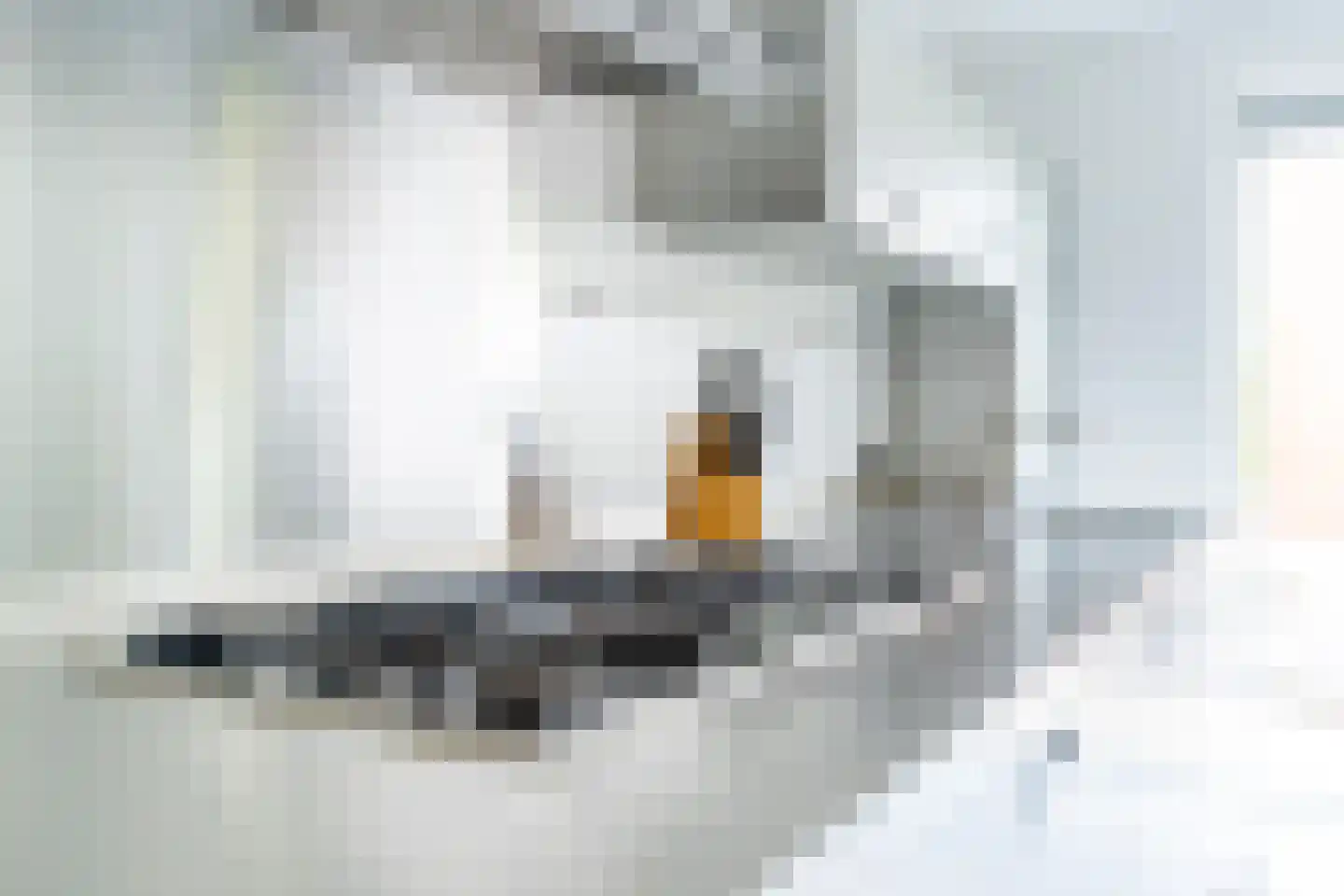 Schoutenlaan 110 Voorhout thumbnail 11