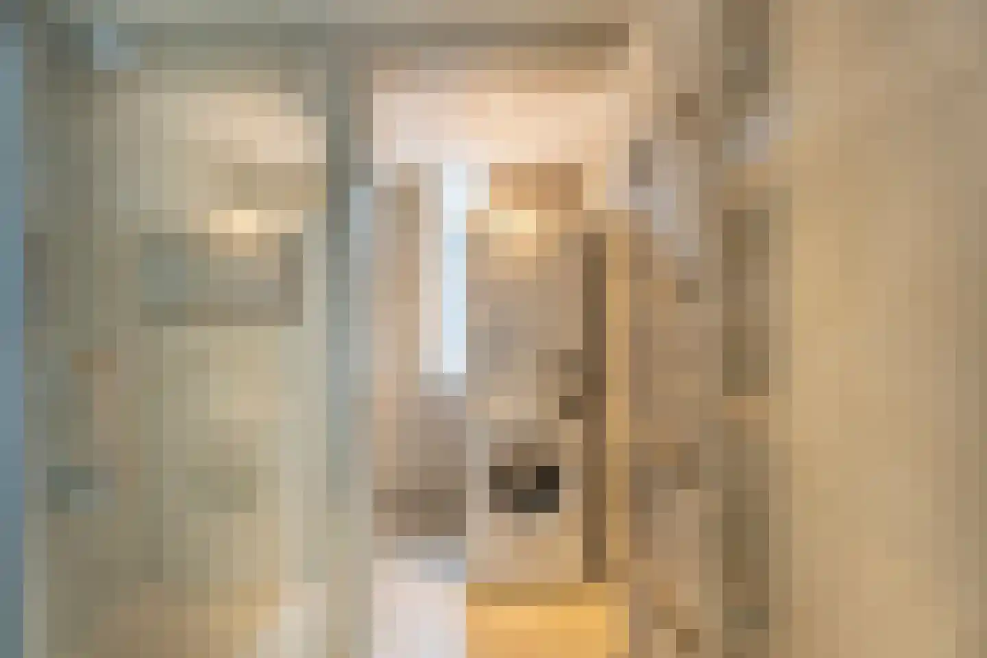 Schoutenlaan 110 Voorhout thumbnail 38