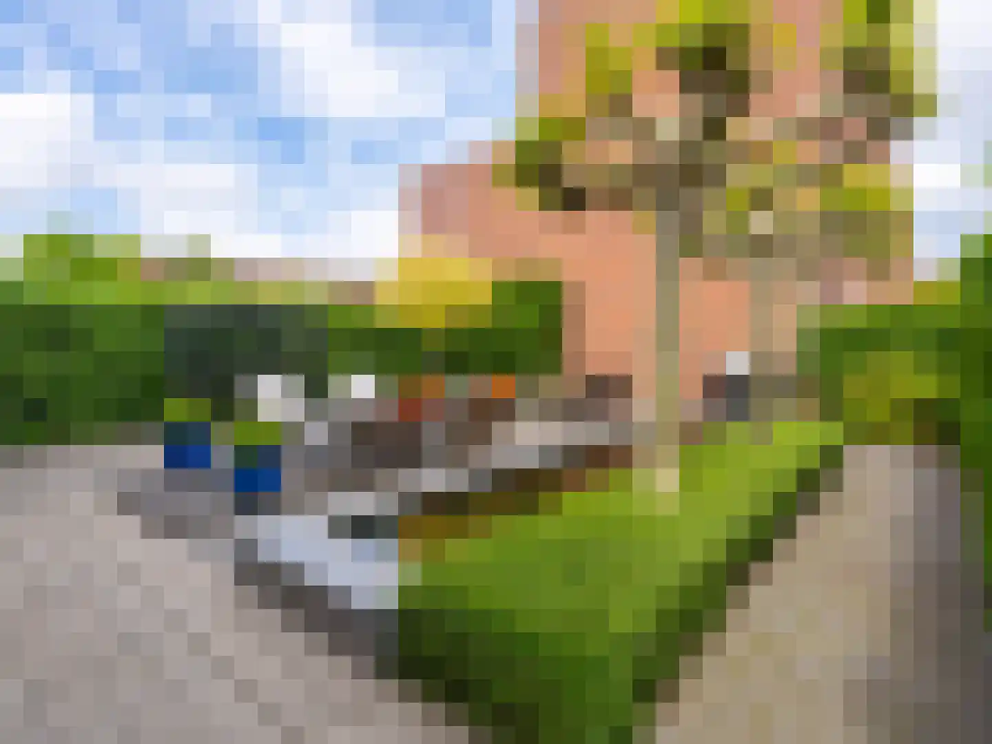 Schoutenlaan 110 Voorhout thumbnail 45