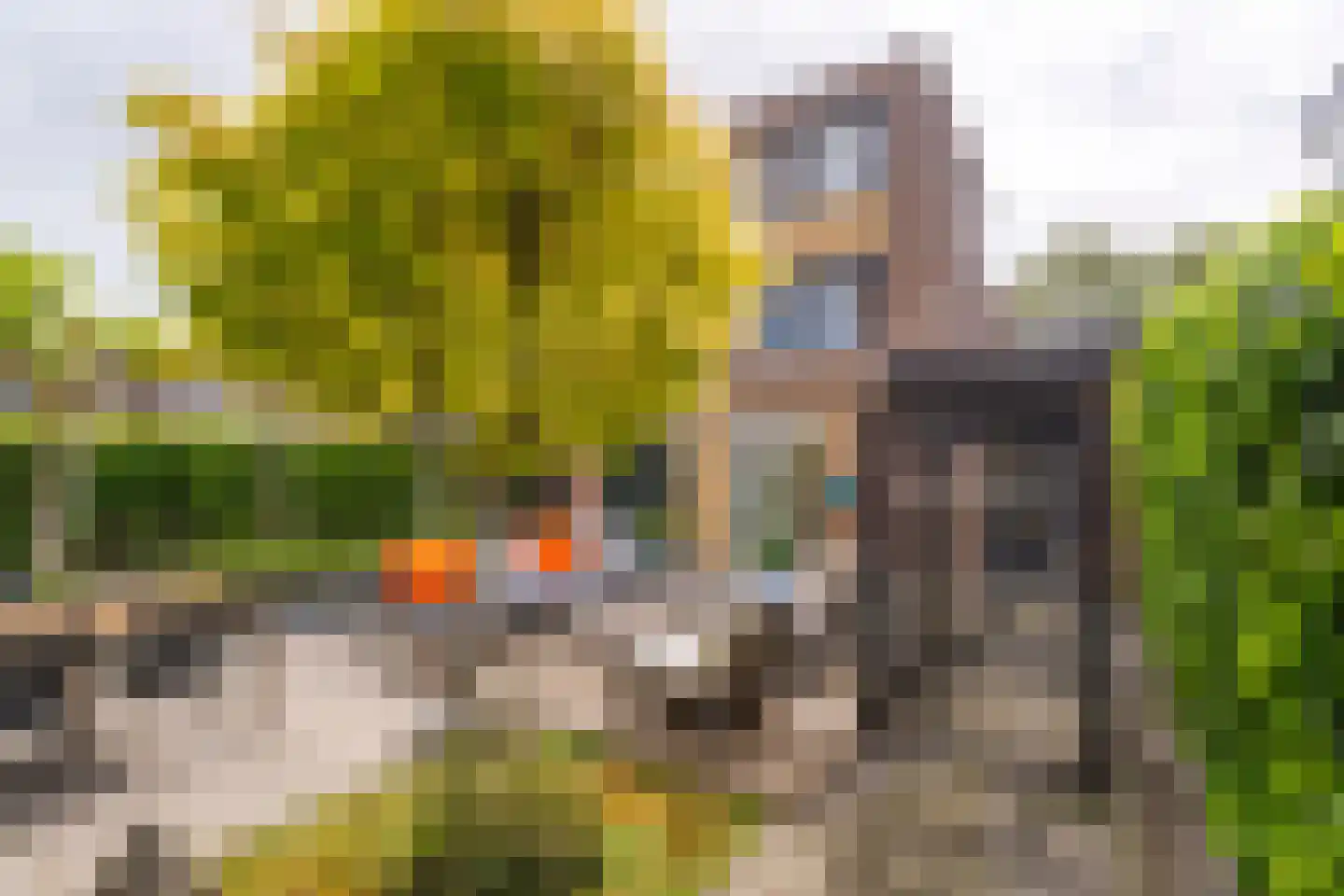 Schoutenlaan 110 Voorhout thumbnail 50