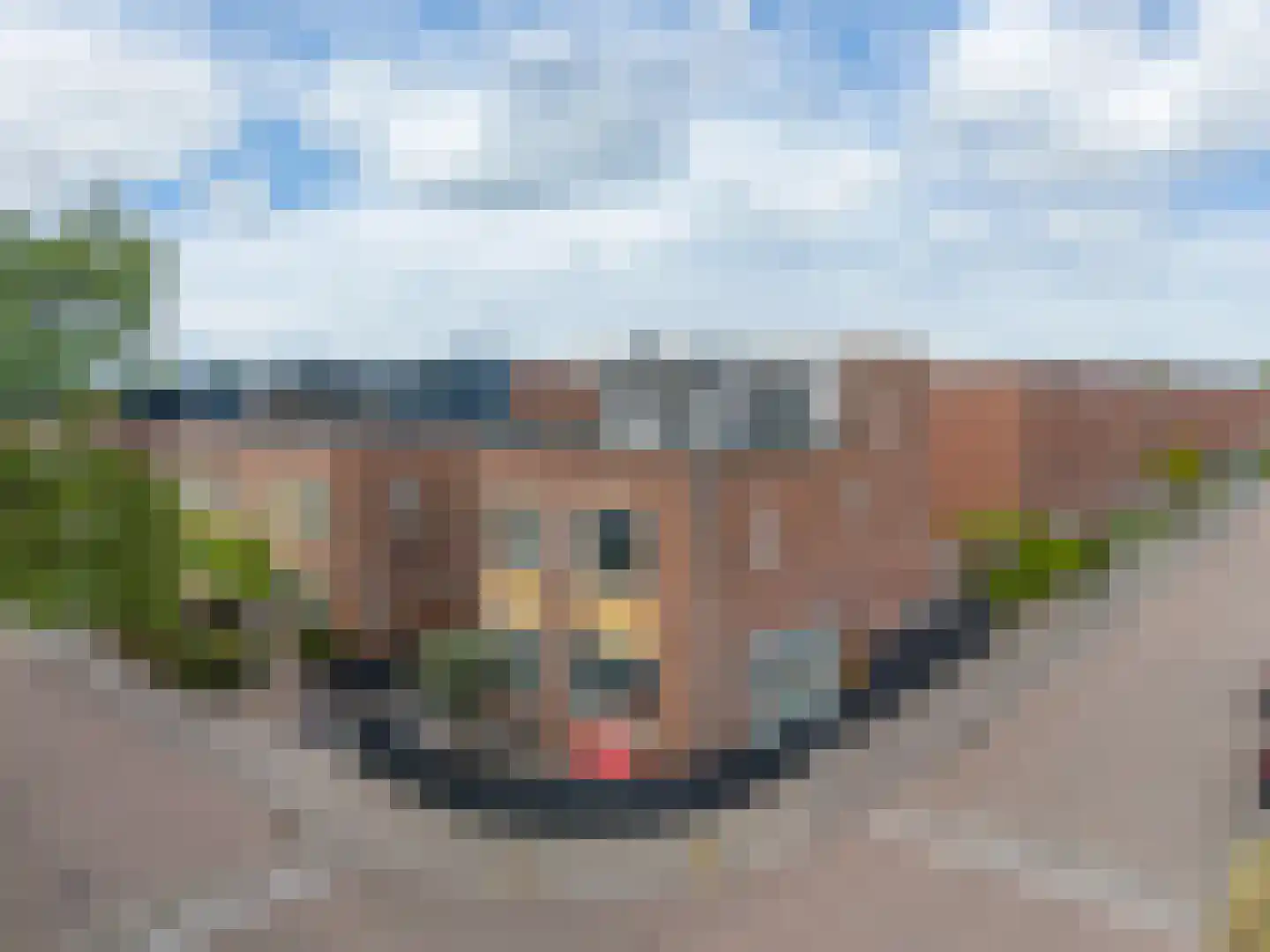 Schoutenlaan 110 Voorhout thumbnail 56
