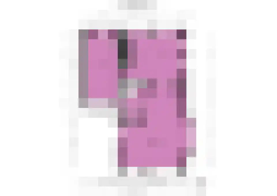 Schoutenlaan 110 Voorhout thumbnail 61