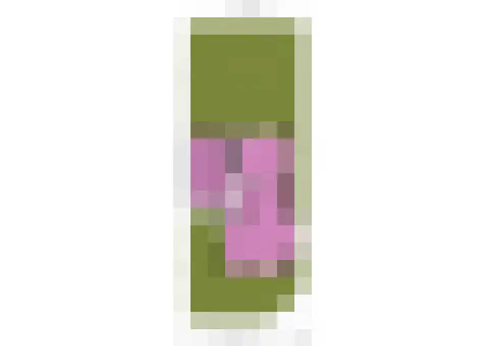 Schoutenlaan 110 Voorhout thumbnail 64
