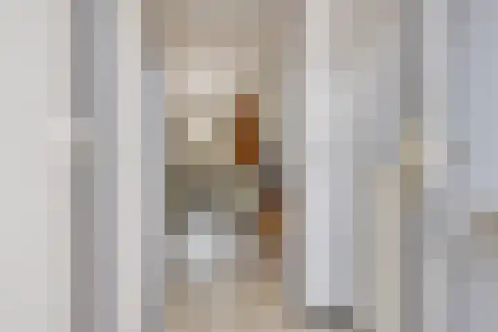 Schoutenlaan 118 Geertruidenberg thumbnail 13
